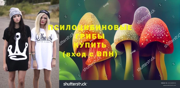 бутират Бугульма